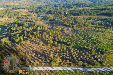 Terreno Plano 6.700m² c/ Vistas Panorâmicas – Salgueiro do Campo