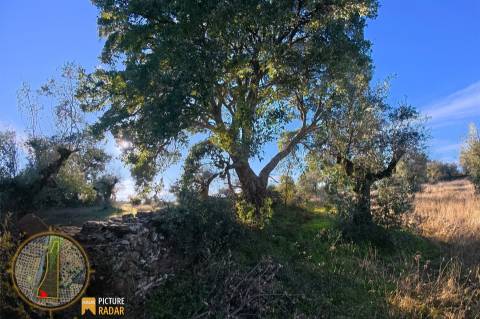 Terreno Plano 6.700m² c/ Vistas Panorâmicas – Salgueiro do Campo