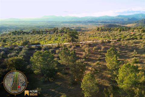 Terreno Plano 6.700m² c/ Vistas Panorâmicas – Salgueiro do Campo