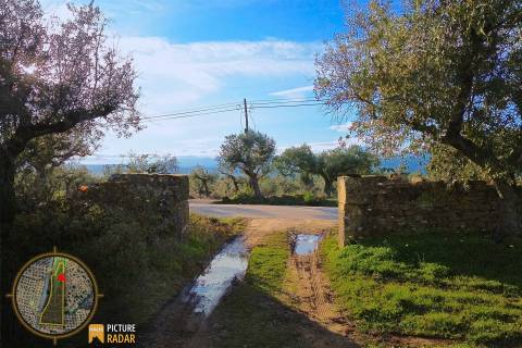 Terreno Plano 6.700m² c/ Vistas Panorâmicas – Salgueiro do Campo