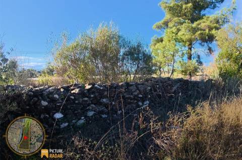 Terreno Plano 6.700m² c/ Vistas Panorâmicas – Salgueiro do Campo