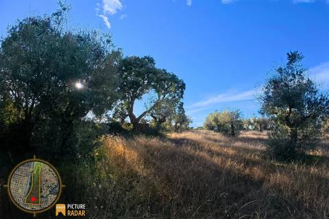 Terreno Plano 6.700m² c/ Vistas Panorâmicas – Salgueiro do Campo