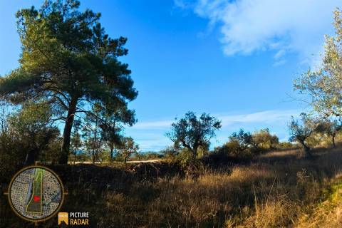 Terreno Plano 6.700m² c/ Vistas Panorâmicas – Salgueiro do Campo