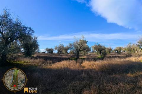 Terreno Plano 6.700m² c/ Vistas Panorâmicas – Salgueiro do Campo