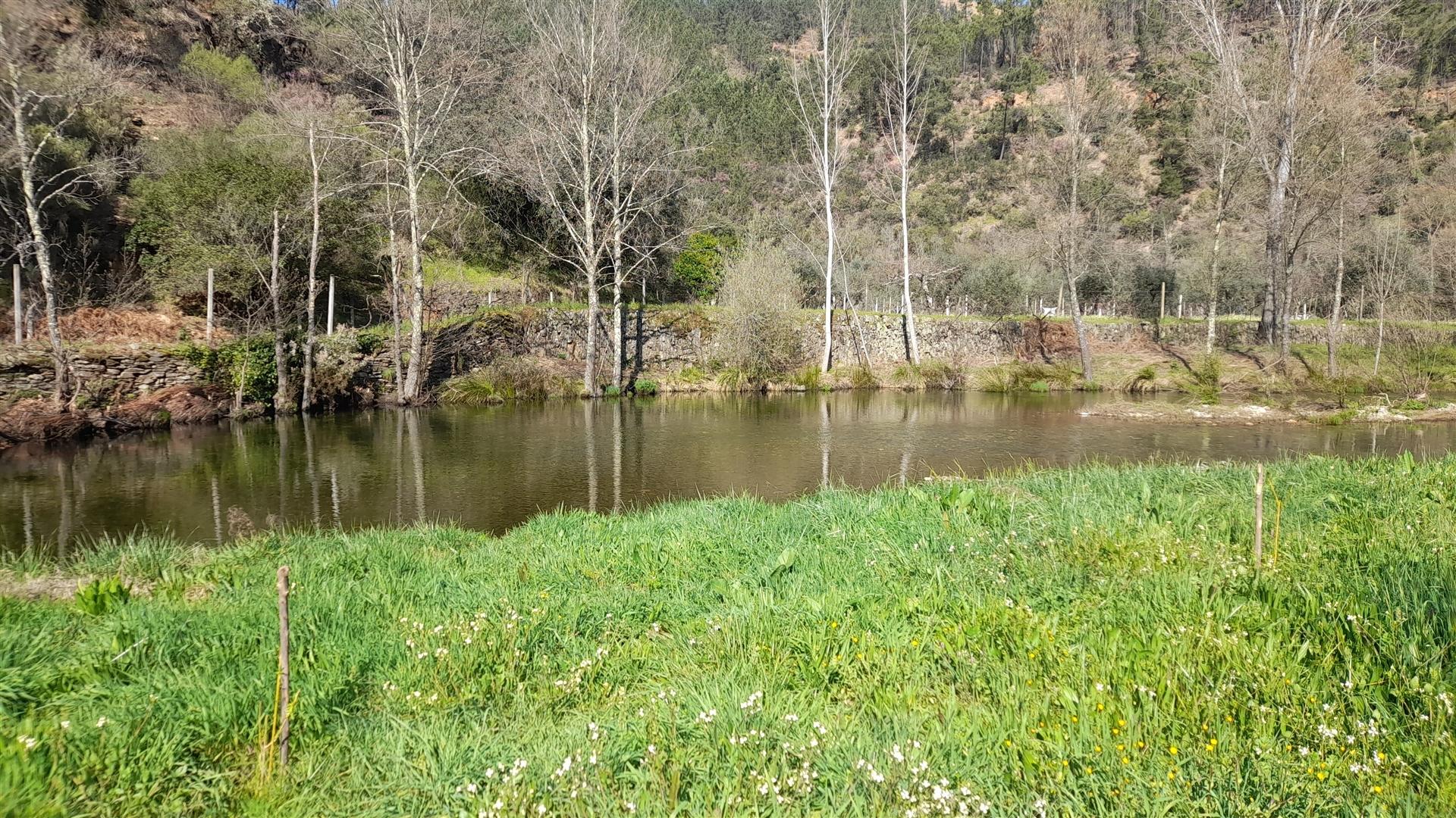 Terreno Rústico  Venda em Sarzedas,Castelo Branco