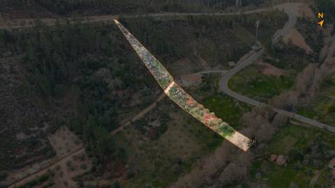 Terreno Rústico  Venda em Sarzedas,Castelo Branco