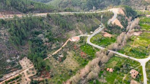 Terreno Rústico  Venda em Sarzedas,Castelo Branco