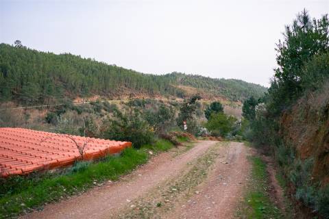 Terreno Rústico  Venda em Sarzedas,Castelo Branco
