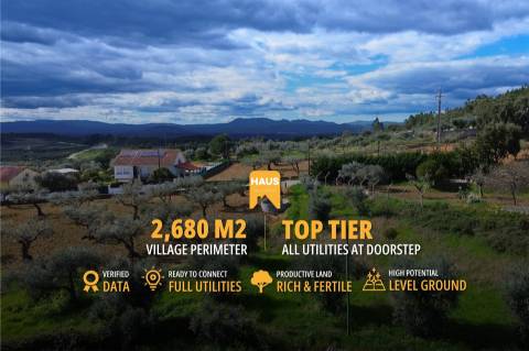 Terreno 2.680m² | Poço e Olival | Palvarinho, Castelo Branco