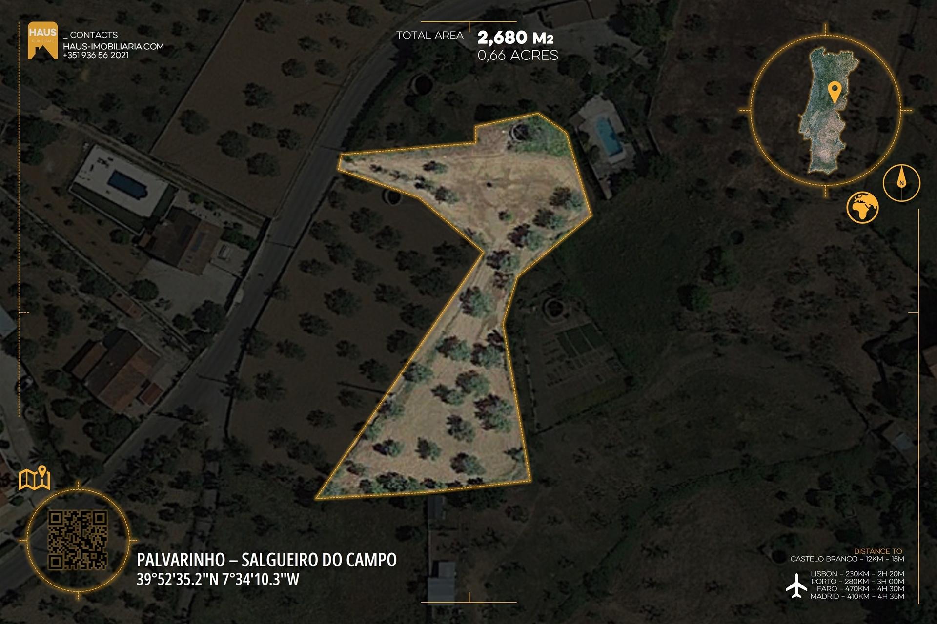 Terreno 2.680m² | Poço e Olival | Palvarinho, Castelo Branco