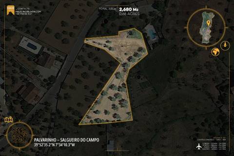Terreno 2.680m² | Poço e Olival | Palvarinho, Castelo Branco