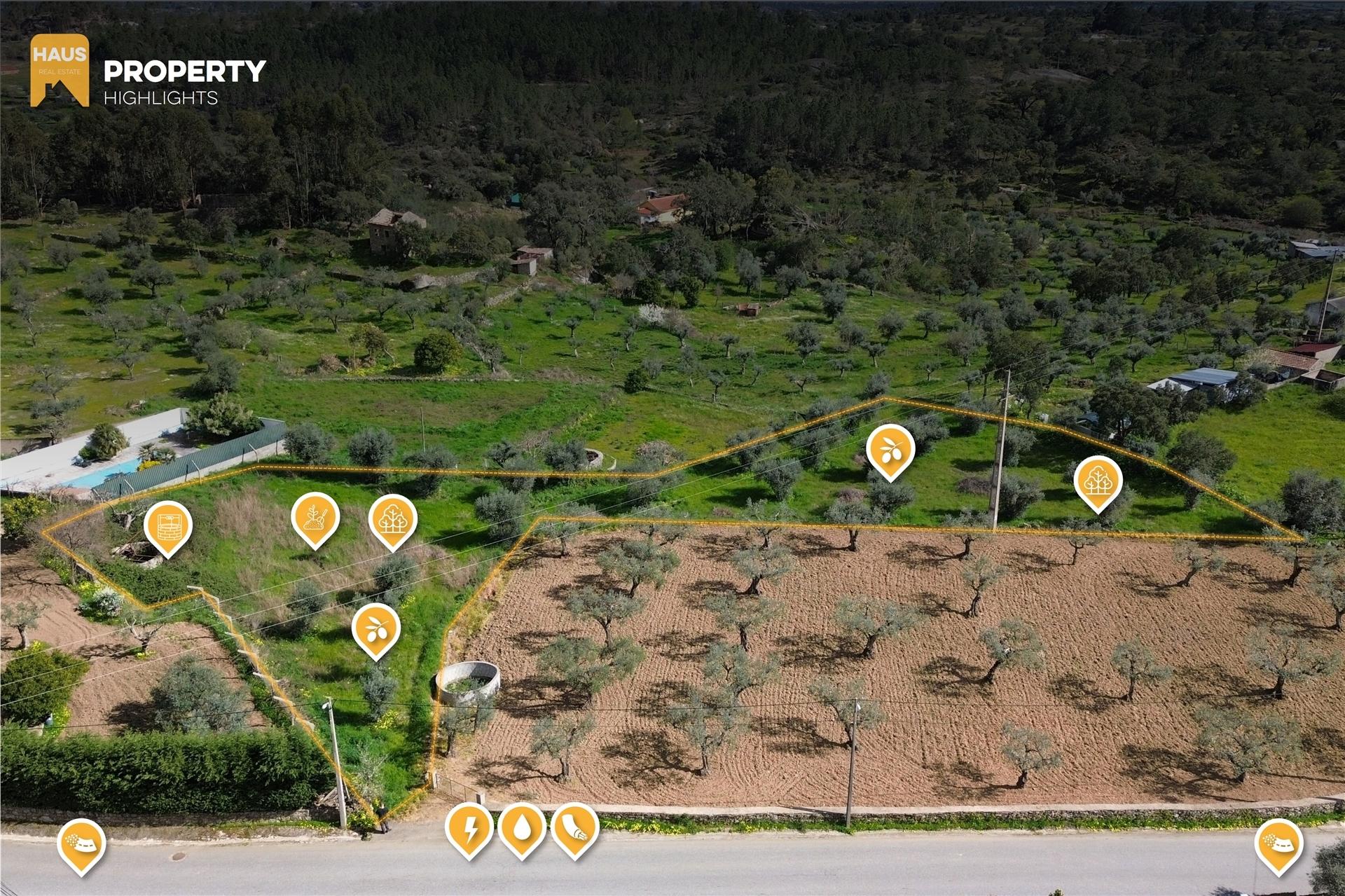 Terreno 2.680m² | Poço e Olival | Palvarinho, Castelo Branco