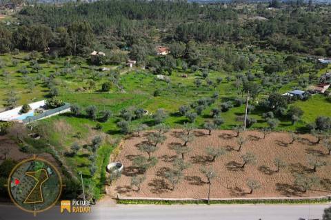 Terreno 2.680m² | Poço e Olival | Palvarinho, Castelo Branco