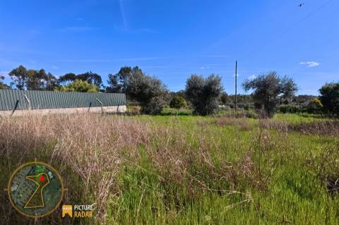 Terreno 2.680m² | Poço e Olival | Palvarinho, Castelo Branco
