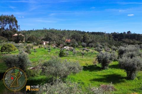 Terreno 2.680m² | Poço e Olival | Palvarinho, Castelo Branco