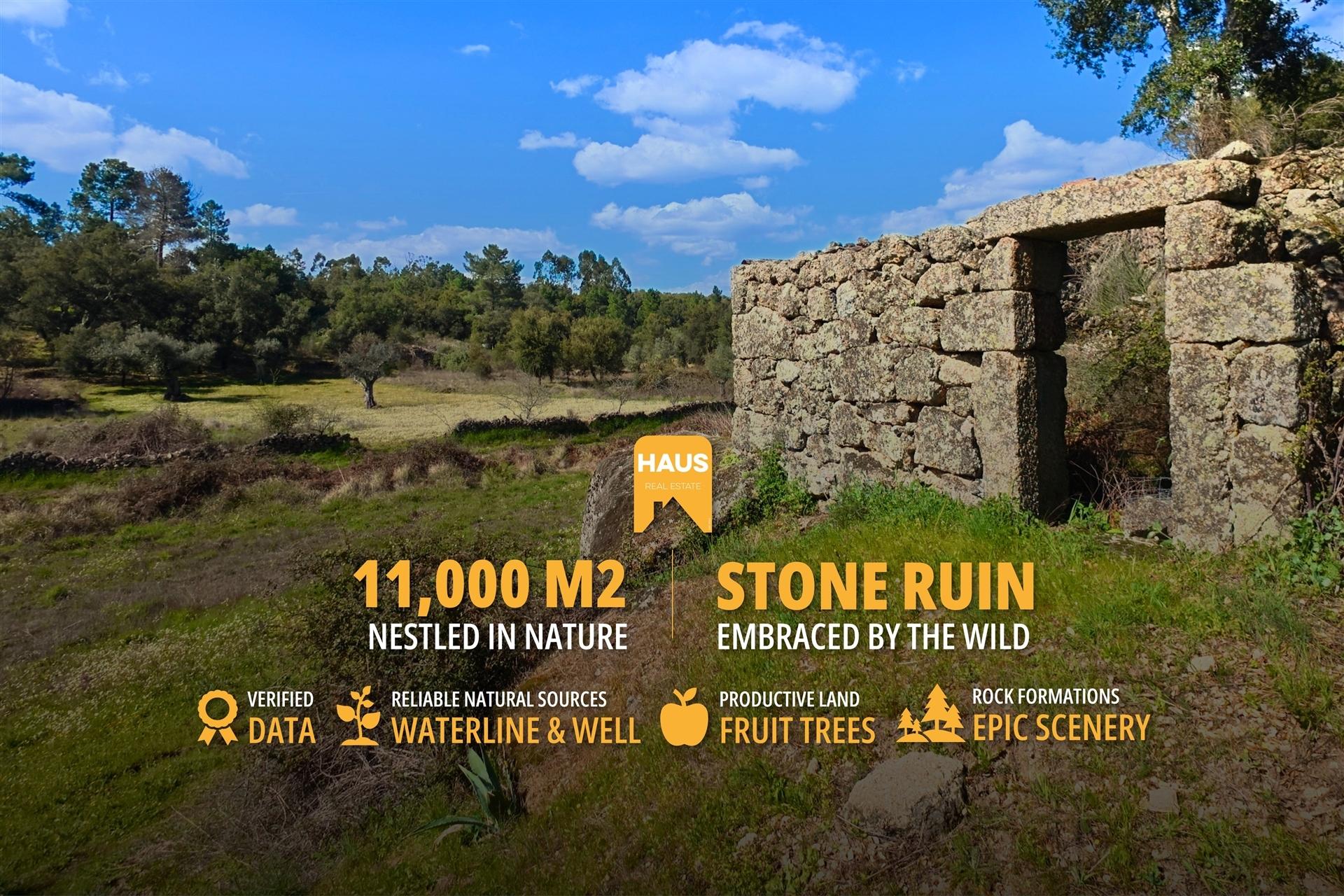 Terreno 1.1ha com Ruína e Vale Fértil | Cafede, Castelo Branco