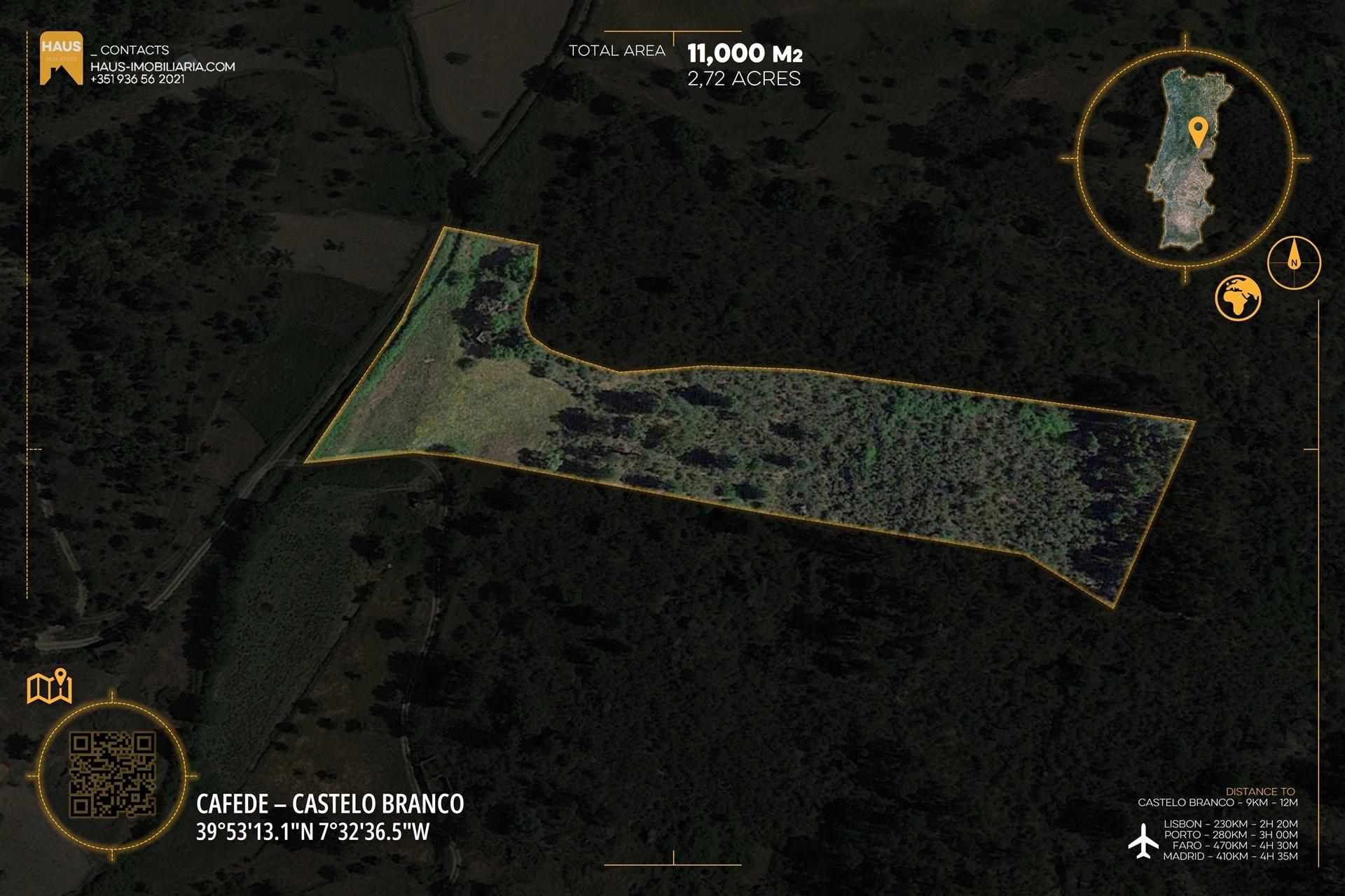 Terreno 1.1ha com Ruína e Vale Fértil | Cafede, Castelo Branco