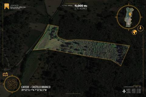 Terreno 1.1ha com Ruína e Vale Fértil | Cafede, Castelo Branco