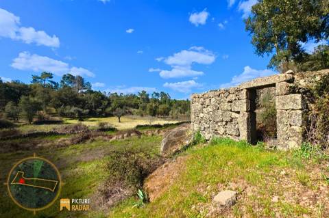 Terreno 1.1ha com Ruína e Vale Fértil | Cafede, Castelo Branco