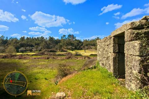 Terreno 1.1ha com Ruína e Vale Fértil | Cafede, Castelo Branco