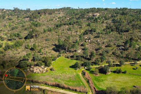 Terreno 1.1ha com Ruína e Vale Fértil | Cafede, Castelo Branco