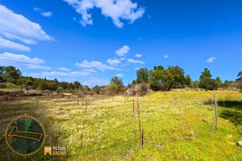 Terreno 1.1ha com Ruína e Vale Fértil | Cafede, Castelo Branco