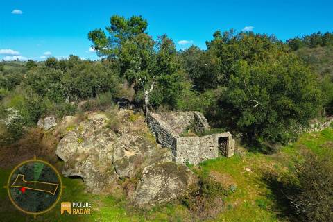 Terreno 1.1ha com Ruína e Vale Fértil | Cafede, Castelo Branco