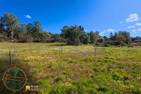 Terreno 1.1ha com Ruína e Vale Fértil | Cafede, Castelo Branco