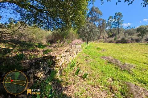 Terreno 1.1ha com Ruína e Vale Fértil | Cafede, Castelo Branco