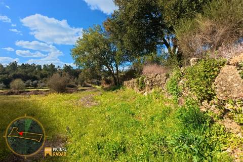 Terreno 1.1ha com Ruína e Vale Fértil | Cafede, Castelo Branco