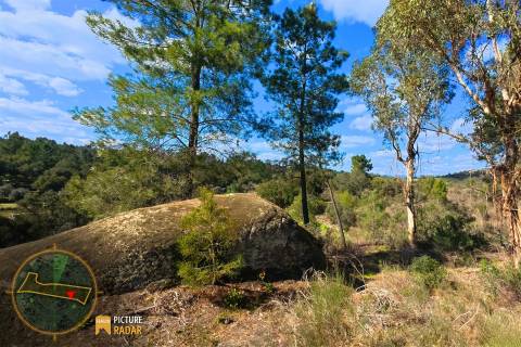 Terreno 1.1ha com Ruína e Vale Fértil | Cafede, Castelo Branco