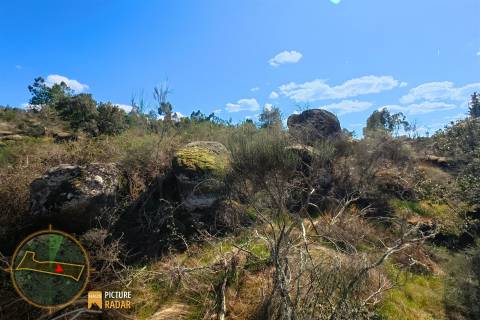 Terreno 1.1ha com Ruína e Vale Fértil | Cafede, Castelo Branco