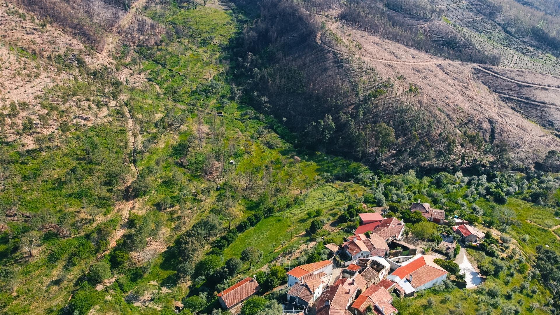 Terreno Rústico  Venda em São Vicente da Beira,Castelo Branco