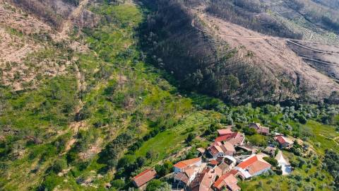 Terreno Rústico  Venda em São Vicente da Beira,Castelo Branco