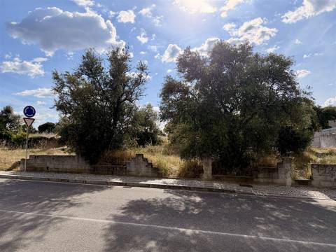 Terreno Para Construção  Venda em Alcains,Castelo Branco