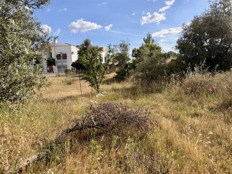 Terreno Para Construção  Venda em Alcains,Castelo Branco