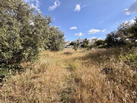 Terreno Para Construção  Venda em Alcains,Castelo Branco
