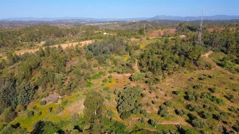 Terreno Rústico  Venda em Benquerenças,Castelo Branco