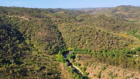 Terreno Rústico  Venda em Sarzedas,Castelo Branco