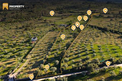 Terreno vedado com Ruína e 3 Poços - Juncal do Campo, PT