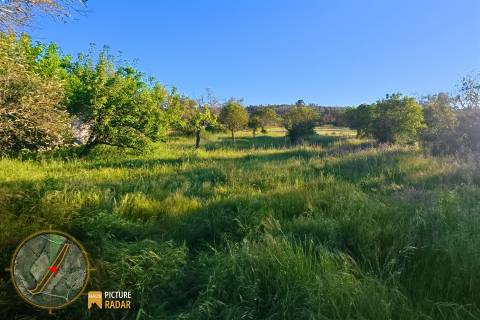 Terreno vedado com Ruína e 3 Poços - Juncal do Campo, PT