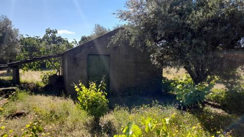 Terreno Rústico  Venda em Monsanto e Idanha-a-Velha,Idanha-a-Nova
