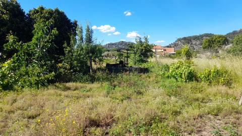 Terreno Rústico  Venda em Monsanto e Idanha-a-Velha,Idanha-a-Nova
