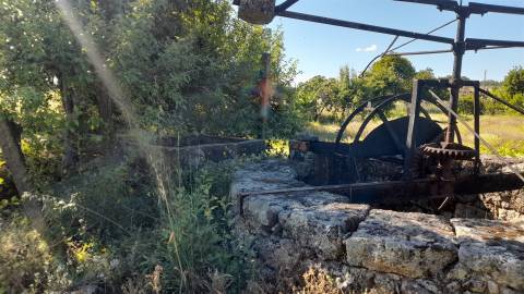 Terreno Rústico  Venda em Monsanto e Idanha-a-Velha,Idanha-a-Nova