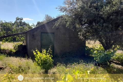 Terreno Rústico  Venda em Monsanto e Idanha-a-Velha,Idanha-a-Nova