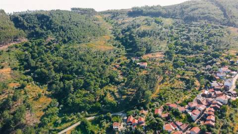 Terreno Rústico  Venda em Almaceda,Castelo Branco