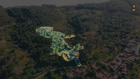Terreno Rústico  Venda em Almaceda,Castelo Branco