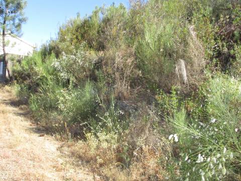 Quintinha T0 Venda em Estreito-Vilar Barroco,Oleiros