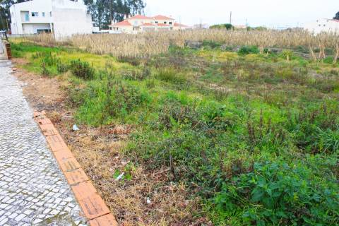 Terreno Urbano  Venda em Vagos e Santo António,Vagos