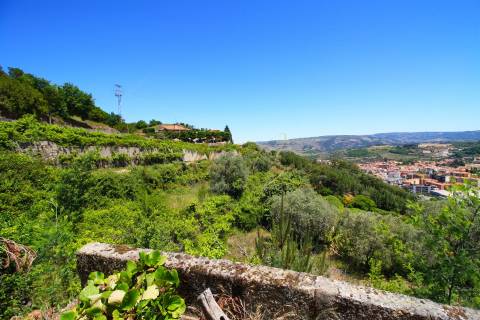 Moradia Isolada T5 Venda em Lamego (Almacave e Sé),Lamego